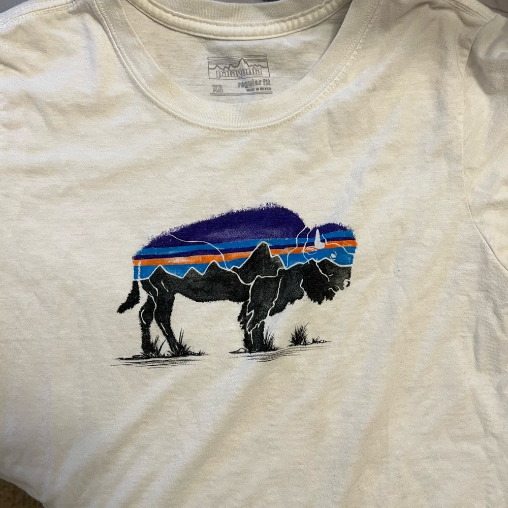 Patagonia Woman’s Tee